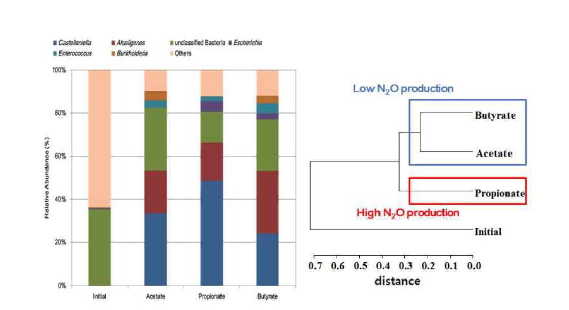 VFA별 N2O 생성 미생물 군집 구조 및 다양성