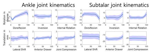 Ankle and subtalar joint kinematics during normal walking
