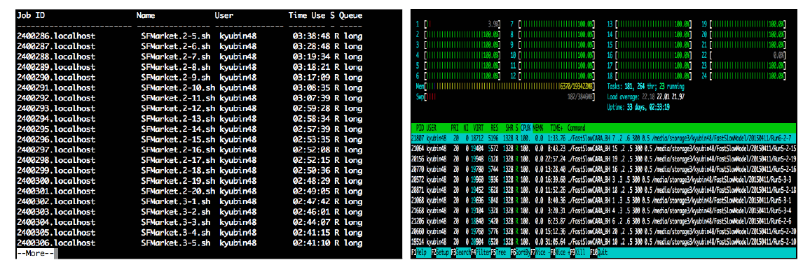Torque에 올라간 Job list (왼쪽), Job들의 CPU 이용 상태 (오른쪽)