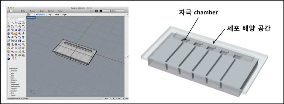 연동운동 자극을 주기 위한 세포칩 디자인 조립