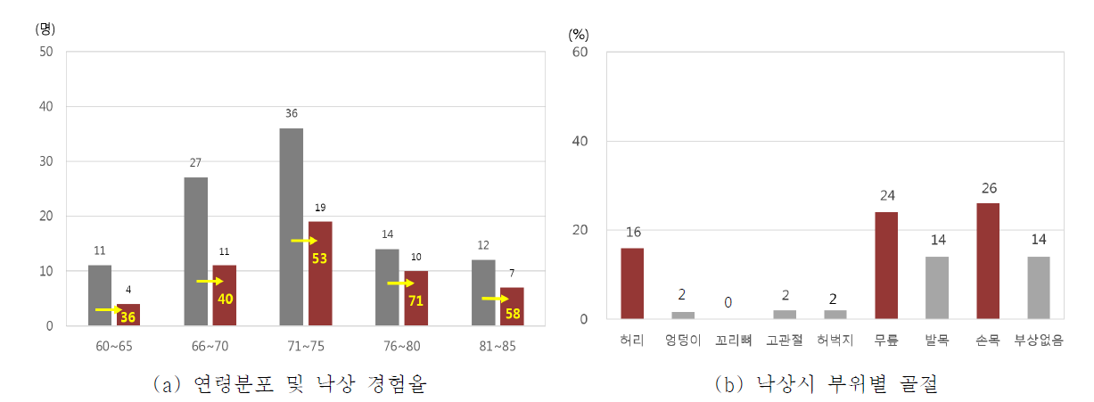 낙상 경험 및 특성