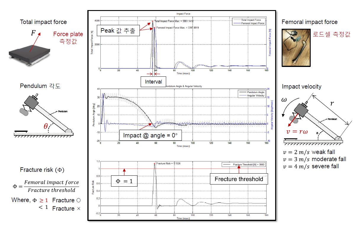 Fracture Risk Analysis System