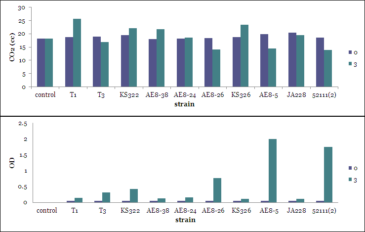 Further screening to find an effective consortium for removing CO2 gas using R. penthothenatexigens, R. palustris, R. capsulatus and Thiobacillus spp. strains