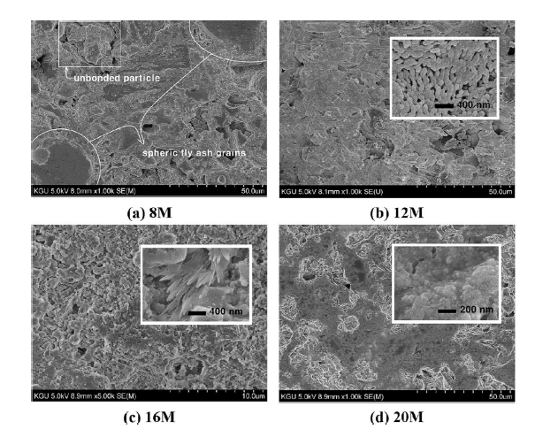 Microstructure of geopolymer fabricated with various molar concentration of alkali activator, NaOH observed by scanning electron microscope