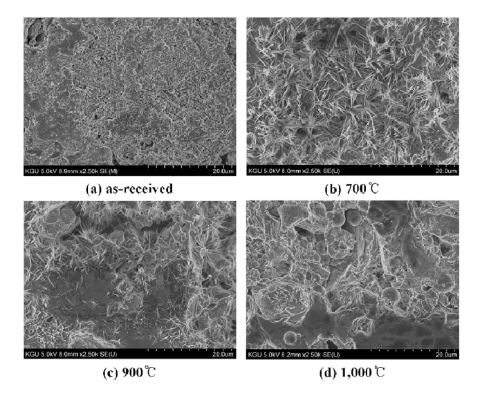 Microstructure of the geopolymer made with coal ashes calcined at various temperature