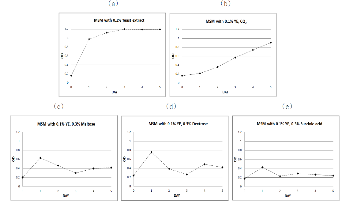 The affect of various carbon source. MSM with 0.1% yeast extract (a), MSM with 0.1% yeast extract and carbon dioxide (b), MSM with 0.1% yeast extract and 0.3% Maltose (c), MSM with 0.1% yeast extract and Dextrose(d) and MSM with 0.1% yeast extract and 0.3% Succinic acid (e). cell mass 0.5g/L, light condition, 28℃. 13,000 RPM in shaking incubator