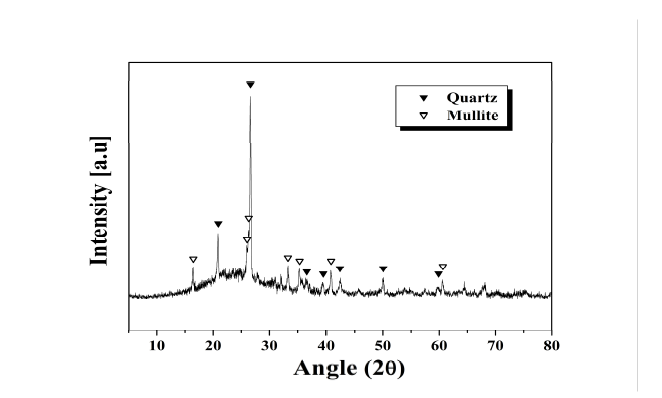 Phase analysis of coal ash