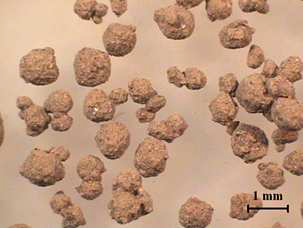 Morphology of geopolymer granule made from fly ash with high shear mixer