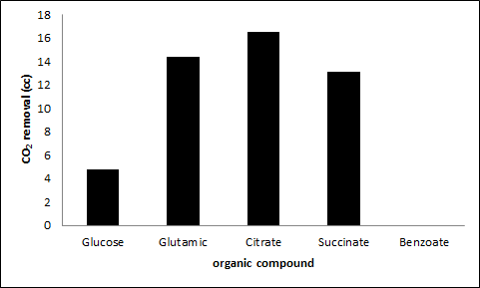 result of carbon dioxide removal of Rhodopseudomonas pentothenatexigens AE8-5 as varius carbon source