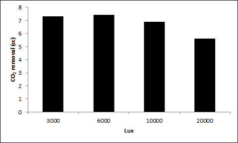 Carbon dioxide removal experiment. lux-meter controlled light power 3000, 6000, 10000, 20000lux. 6000lux condition has high efficiency more than other condition. (Temperature : 25 ℃, pH : 7 , cell mass : 0.5 g/L)