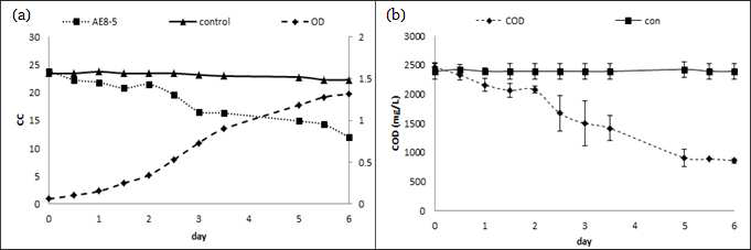 Result of carbon dioxide removal efficiency of Rhodopseudomonas pentothenatexigens AE8-5 at optimal condition