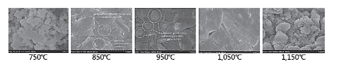 Microstructure of fractured surface of geopolymers made of metakaolin clacline at various temperature