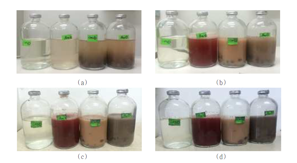 Photographs of specimen bottles using 27s medium, bacteria and ceramic aggregates according to the time after changing shaking method by from keeping bottles up to side