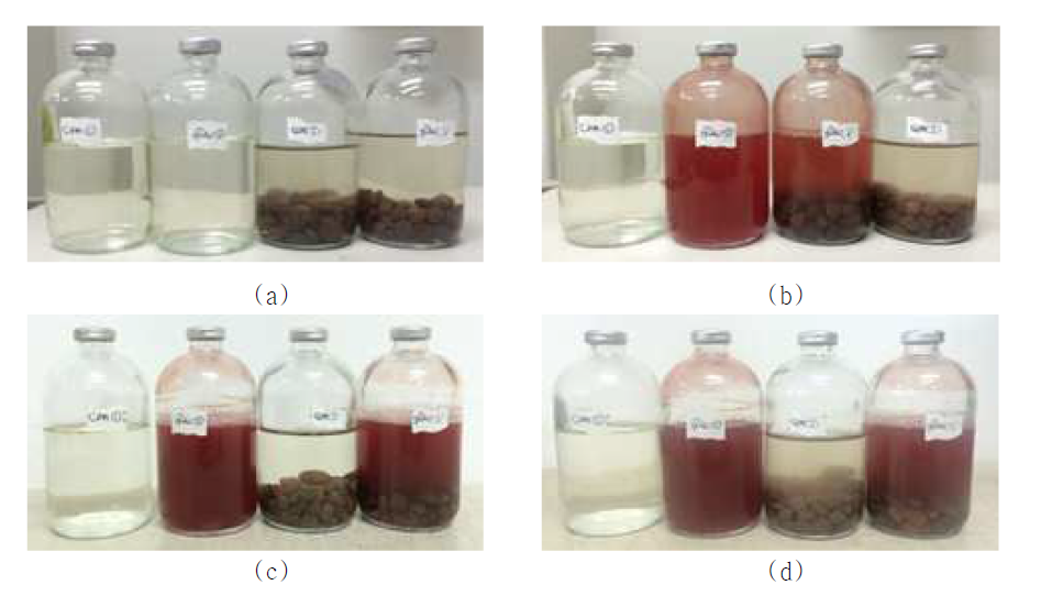 Photographs of specimen bottles using 27s medium, bacteria and ceramic aggregates according to the time. The height of contents in the bottles were fixed