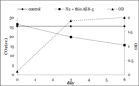 Carbon dioxide removal experiment: 27s medium with citrate and head space filled by nitrogen  pH: 7; cell mass: 0.5 g/L; Light: 6000 lux