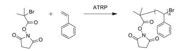 ATRP를 통한 NHS-PS 합성