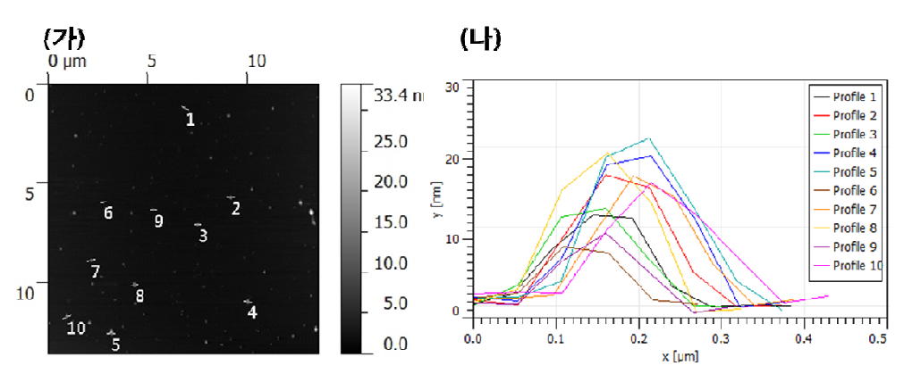 합성된 금 나노입자의 AFM 분석, (가) AFM 사진, (나) AFM 사진의 z-profile