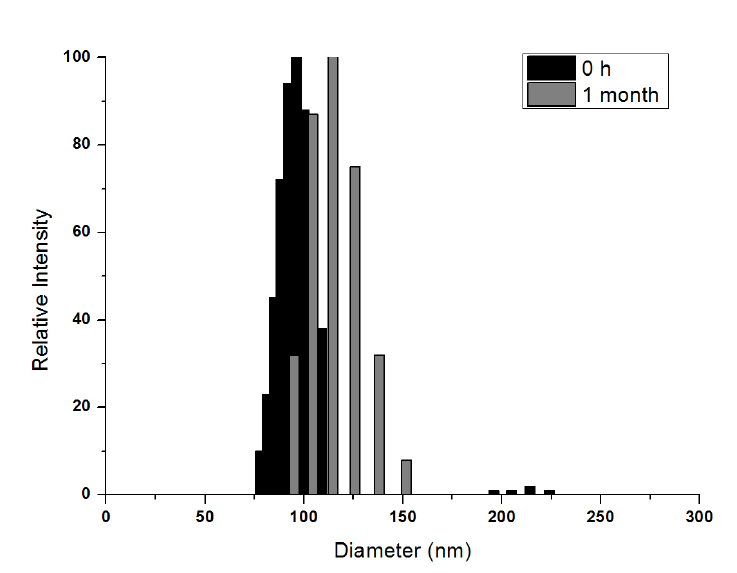 입자 형성 한달 경과 이후 GFP/PLA 입자 DLS 결과