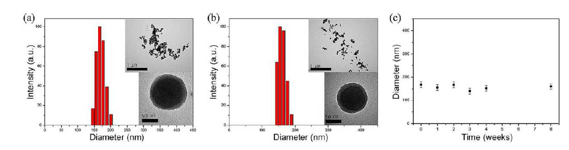 DLS 및 TEM 분석 결과; (a) 구조 형성 직후 측정 값, (b) 구조 형성 8주경과 후 측정 값, (c) 시간 경과에 따른 나노입자의 평균 직경