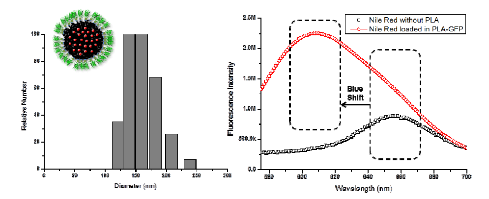 Nile red가 담지된 GFP/PLA 구조체의 DLS 및 형광 스펙트럼 분석 결과