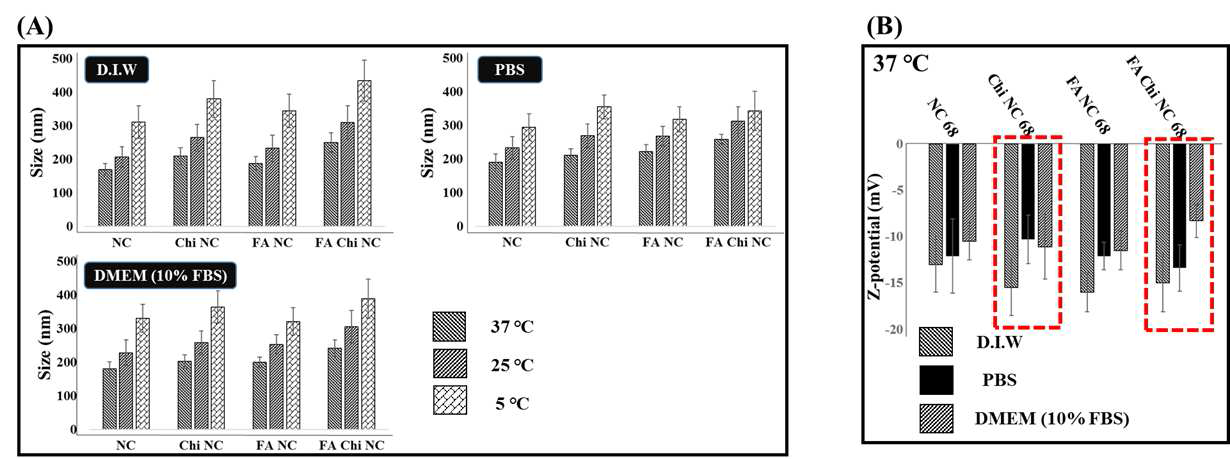 Arginine/nGO 화합물이 담지 된 각 나노입자를 DLS를 사용하여 (A) 생체 내 유사한 환경에서의 크기 분석 및 (B) 표면 전하 분석