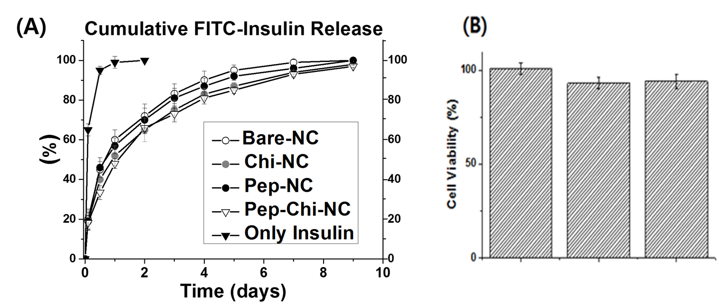 각 나노젤로부터의 (A) FITC-Insulin의 방출, (B) 세포독성