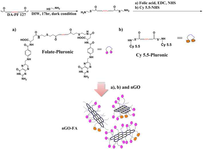 양 말단에 a)folate와 b) Cy 5.5가 치환된 Pluronic 127과 folate가 부착된 나노그래핀의 모식도
