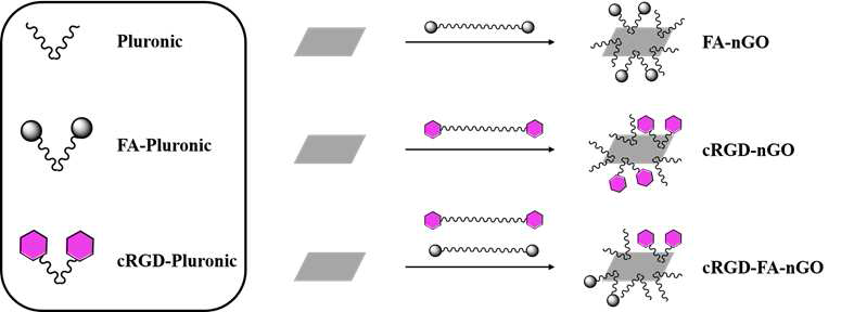 Single (FA-nGO, cRGD-nGO) and dual (cRGD-FA-nGO) ligand functionalized nGO.