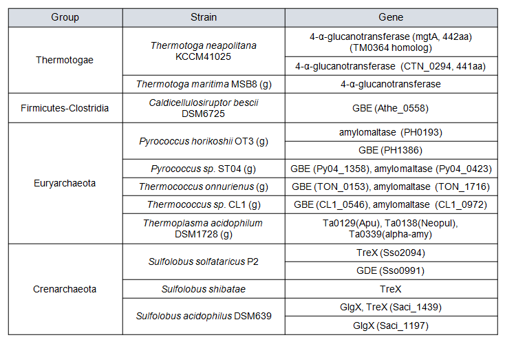 초고온성 미생물의 유전체내에서 탐색된 alpha-glucanotransferases 유전자들