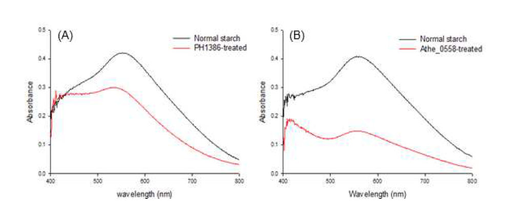 가지형성 효소인 PH1386(A)와 Athe_0558(B) 처리 후 전분의 아밀로오스 함량 변화