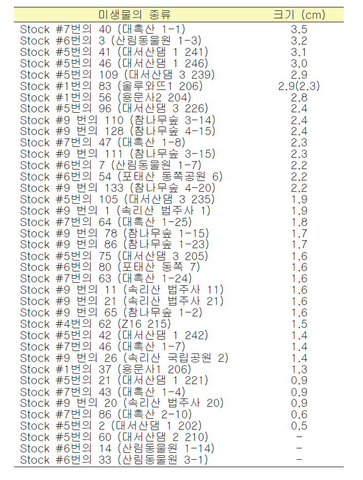 S. aureus 에 대해 항균효과를 보였던 미생물의 종류