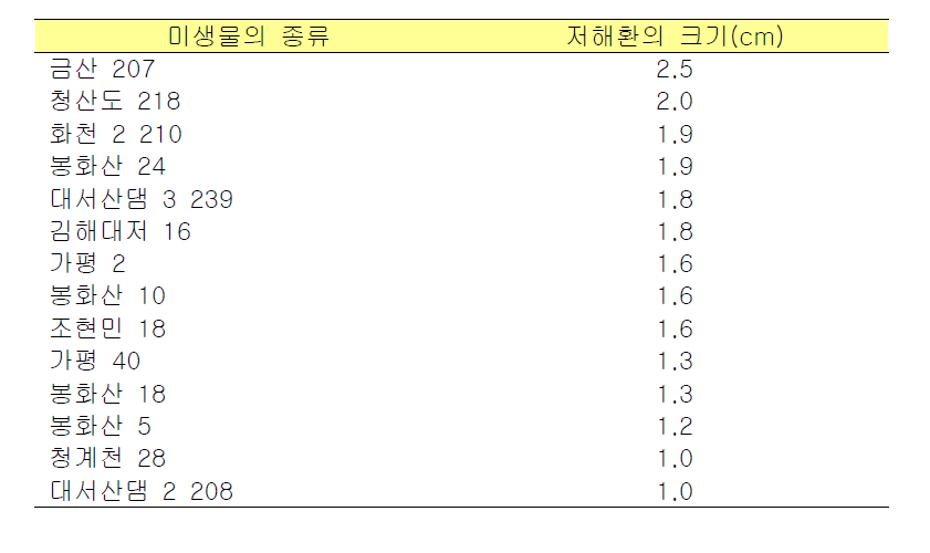 E. coli O157:H7 에 대해 항균효과를 보였던 미생물