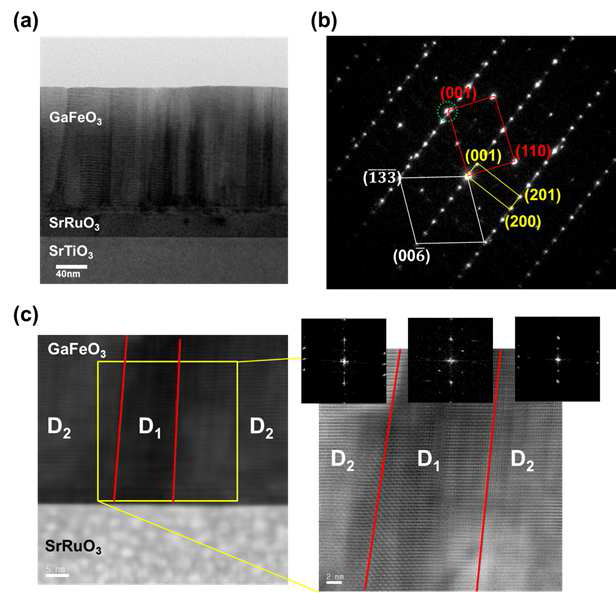 STEM images of the polar c-axis-oriented GFO film