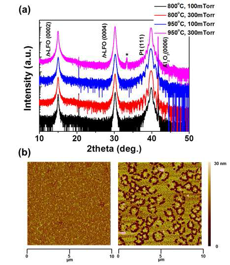 (a) 증착 조건에 따른 X-ray diffraction (XRD) 2􌨧-􌨧 scans 결과. 별표는 사방정형 LFO􎆏(112) peak을 표기 (b) 단일 육방정형 LFO 박막 (왼쪽), 육방정형과 사방정형의 다형성 LFO 박막 (오른쪽) 에 대한 atomic force microscopy (AFM) 측정 결과