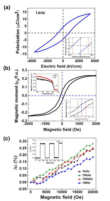 (a) 육방정형 및 사방정형 다형성 LFO 박막에 대한 강유전체 이력곡선 (300K, 1kHz). 삽화는 800kV cm-1의 보자력을 나타냄. (b) 300K에서의 다형성 LFO 박막에 대한 자기이력곡선. 왼쪽 삽화는 300K 에서의 M-T 곡선. 오른쪽 삽화는 자기 보자력 100 Oe를 의미 함. (c) 다형성 LFO 박막의 자기적 전기적 짝이룸 측정 결과 (전기장 주파수에 따른 유전율 실수 변화율). 삽화 는 2T에서의 자기장에 따른 비유전율 변화를 의미.