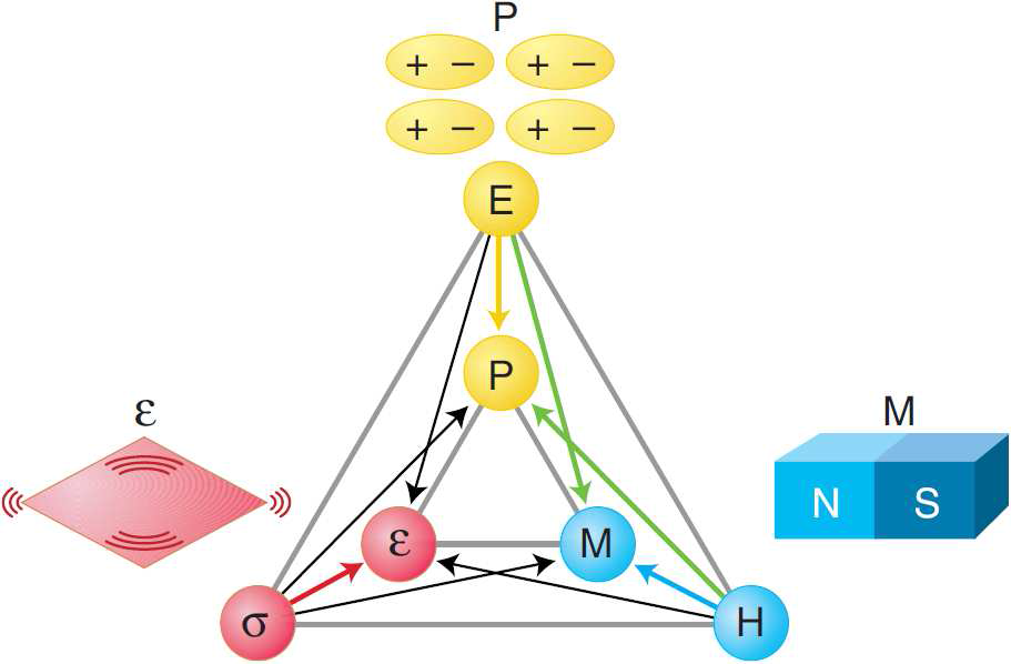 A schematic diagram of the order-parameter couplings among ferroelectricity (anti)ferromagnetism, and ferroelasticity