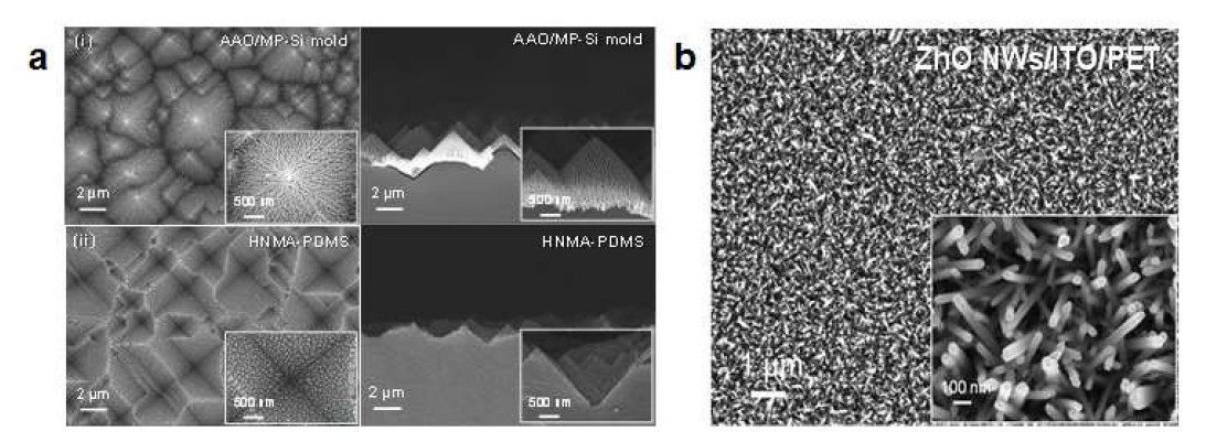 (a) (i) AAO/MP-Si 몰드 (ii) hierarchical nano/micro architectured (HNMA)-PDMS 의 상면도와 횡단면의 SEM 이미지. (b) ZnO 나노선의 SEM 이미지.