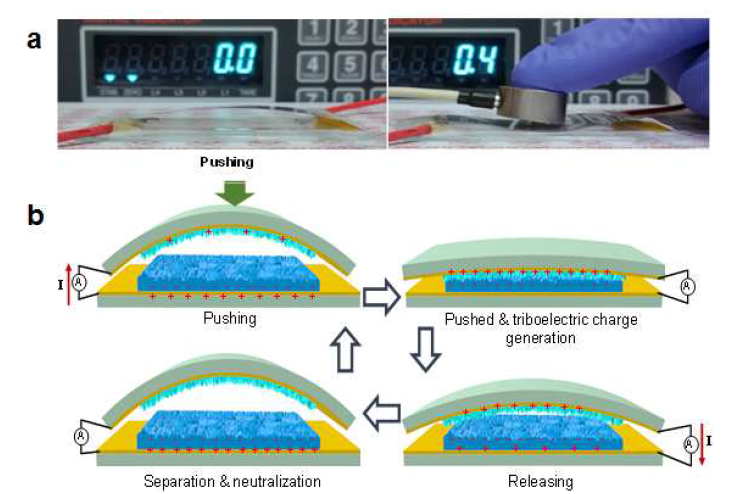 (a) 압전 테스트 중인 TENG 소자의 사진. (b) HNMA-PDMS와 산화아연 나노선을 이용한 마찰전기 압전 소자의 작동 원리.