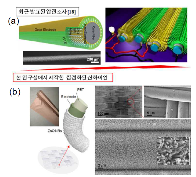 (a) 최근 발표된 나노 압전소자와 (b) 본 연구실에서 사전 성장 가능성 검증.