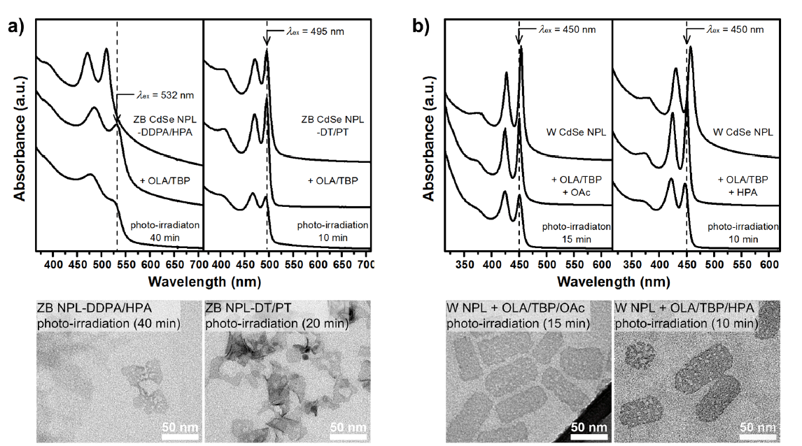 (a) Phosphonate(왼쪽)와 thiolate(오른쪽)으로 리간드가 치환된 ZB CdSe 나노판(495 nm 흡광띠끝)의 광식 각 전과 후의 흡광 스펙트럼의 변화(상단)와 TEM이미지(하단). (a) Oleic aicd(왼쪽)와 hexylphosphonic acid(오른쪽) 을 첨가한 W CdSe 나노판(452 nm 흡광띠끝)의 광식각 전과 후의 흡광 스펙트럼의 변화(상단)와 TEM이미지(하단). 용매: 클로로포름, 식각보조제: oleylamine (OLA) + tributy;phosphine (TBP).