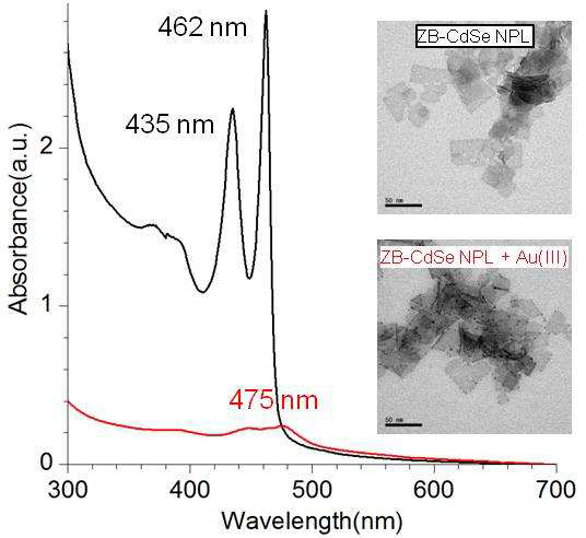 ZB-CdSe 나노판의 금 증착 반응 전(검 정색)과 후(빨강색)의 흡수 스펙트럼과 TEM 영 상. bar: 50 nm