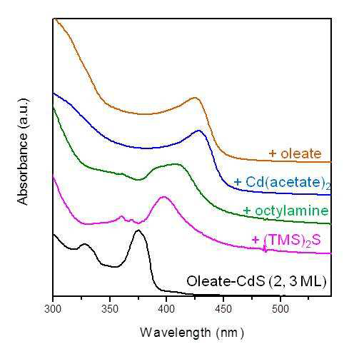 CdS (3 ML) 나노판에 CdS (2 ML)을 적층성장 시키는 one-pot 반응과정의 흡광스펙트럼.