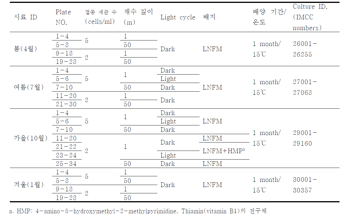 본 연구의 고효율배양에 적용된 실험 조건