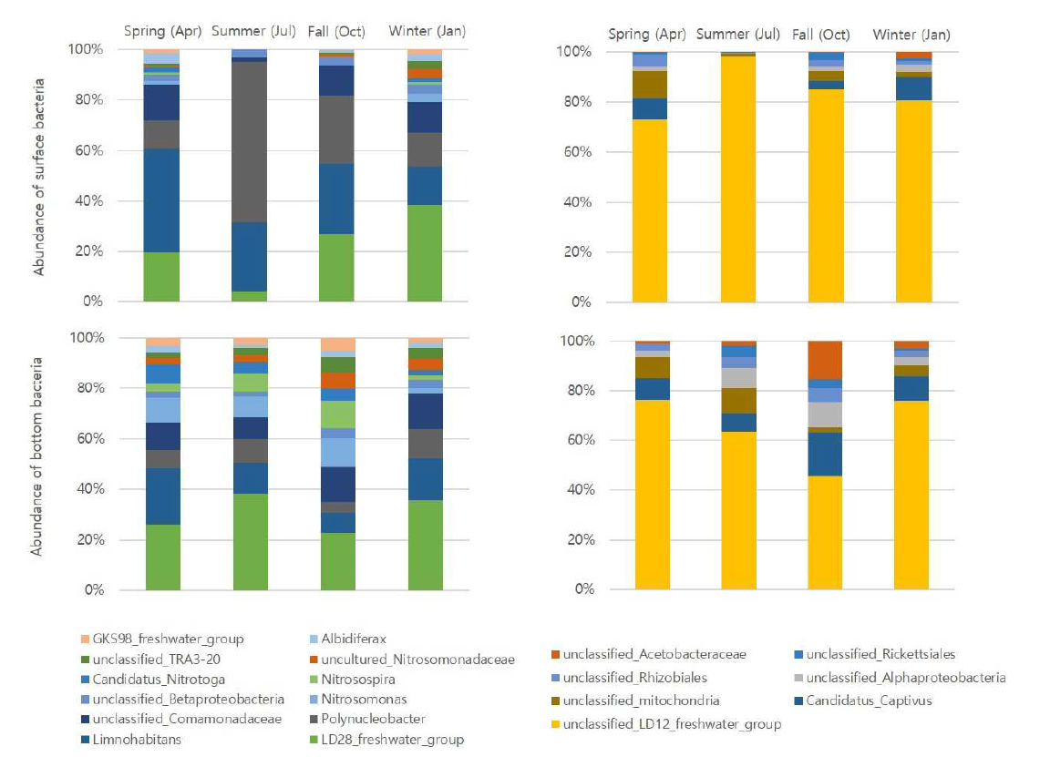 계절 별, 깊이 별로 수행한 소양호 pyrosequencing 결과의 Betaproteobacteria, Alphaproteobacteria에 대한 계통학적 분포.