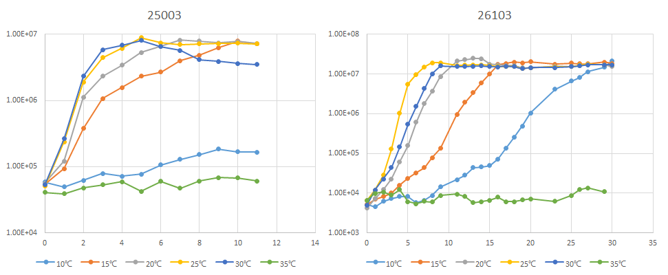 IMCC25003, 26103의 최적온도확인 실험