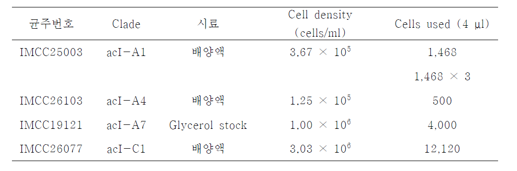 Whole genome amplification에 사용된 acI 균주들과 관련 정보들