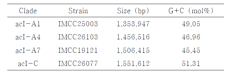acI 균주들의 완성된 유전체 길이와 G+C %