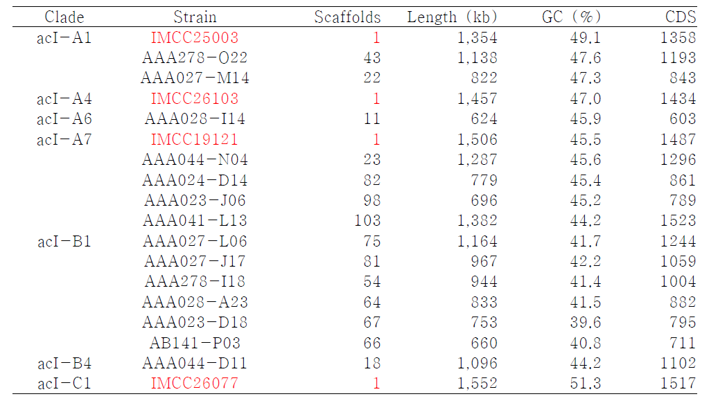 acI 그룹의 유전체들.