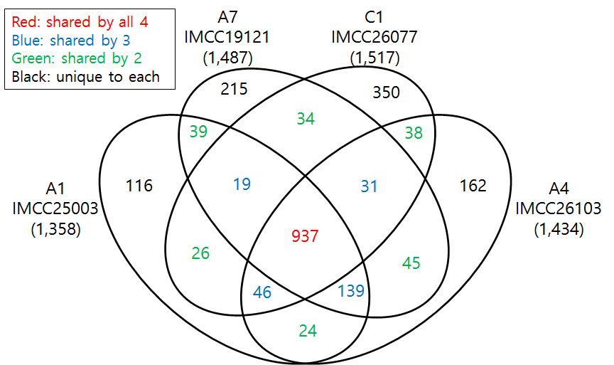 acI 균주 4개의 유전체에서 예측된 protein coding gene들의 숫자를 다른 유전체와의 공유 여부에 따라 표시한 벤 다이어그램.
