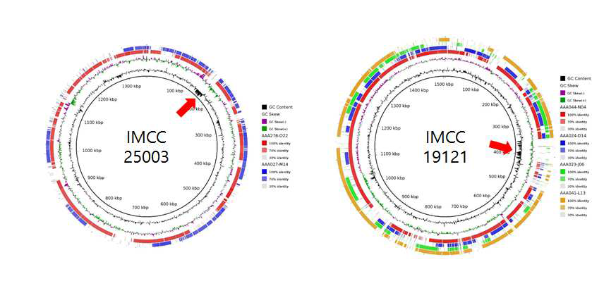 균주 IMCC25003 및 IMCC19121의 유전체와 single cell genome들간의 비교.